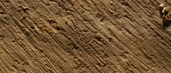 Excavations in the Monk's Dormitory at Durham Cathedral revealed some stones that had not been exposed since they were first put in place the 11th or 12th century. The original tooled finish of the stone can be seen above, as can a maker's mark in the centre of the photograph.